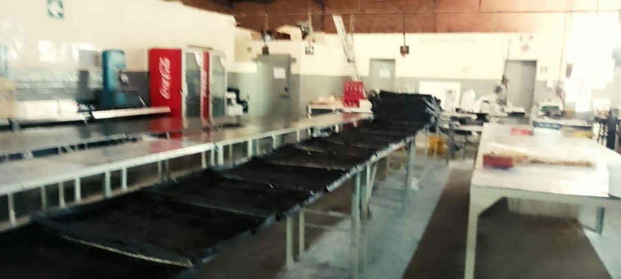 Commercial Property for Sale in Hamilton Free State